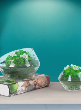 现代创意仿真花艺假花植物玻璃样板房客厅桌面家居摆件绿植装饰品