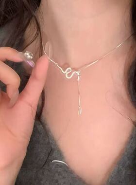 小灵蛇项链2025本命年生肖蛇锁骨链高级感礼物送女友