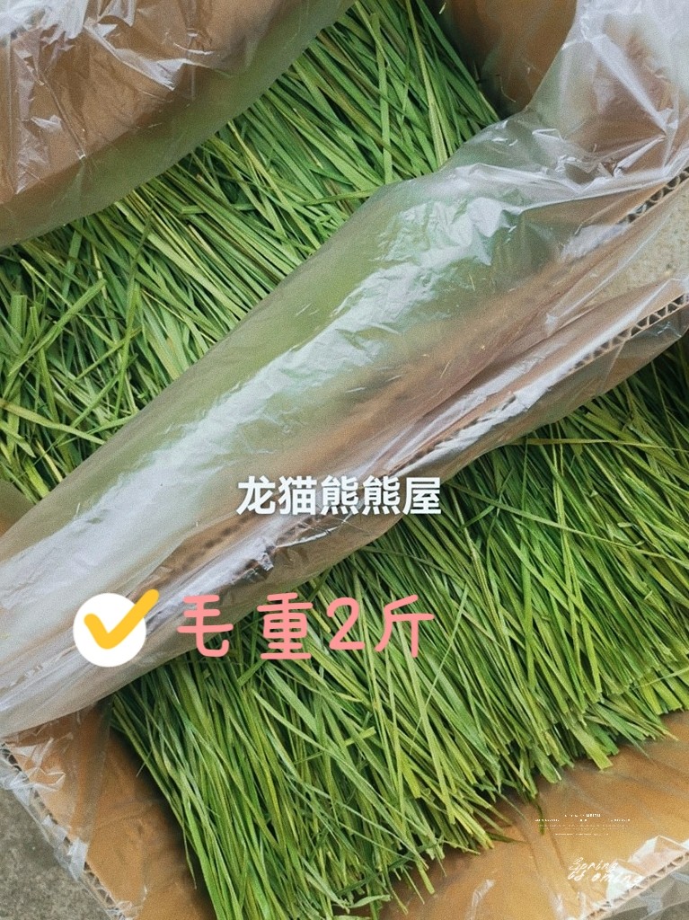 23年新草烘干5A头茬提摩西草草段兔子龙猫草荷兰猪豚鼠北提兔草 - 图2