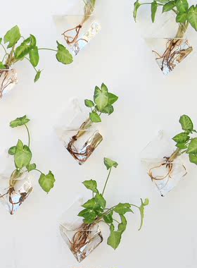 悬挂玻璃花瓶创意菱形墙壁壁挂
