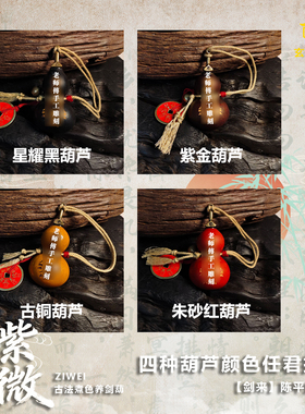 剑来道系青年养剑葫芦雕刻挂件