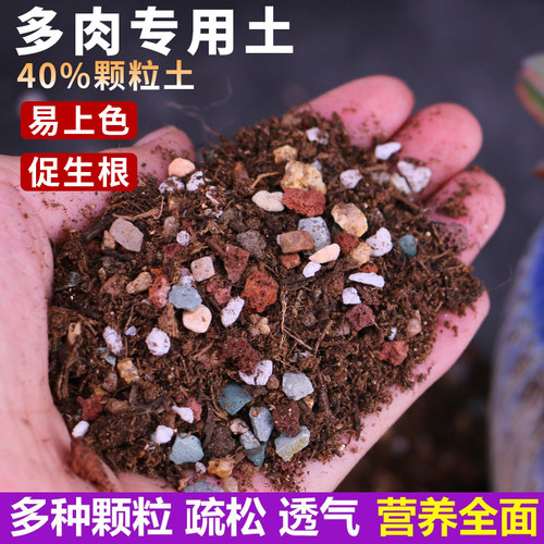 多肉植物营养土 全新升级配方泥炭种植土 颗粒土石子颗粒土赤玉土 - 图1