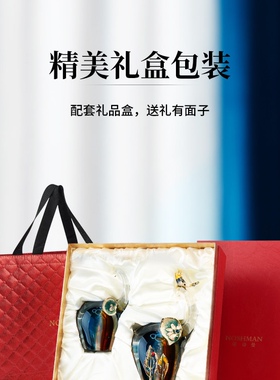 小众手工艺术品招财大象摆件一对工艺品轻奢高端珐琅彩客厅装饰品