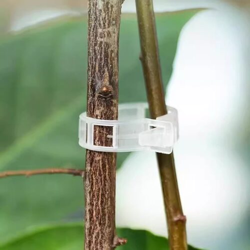 绿植果树植物固定夹卡扣藤蔓固定器秧苗爬藤支撑杆果蔬秧苗吊秧夹 - 图3