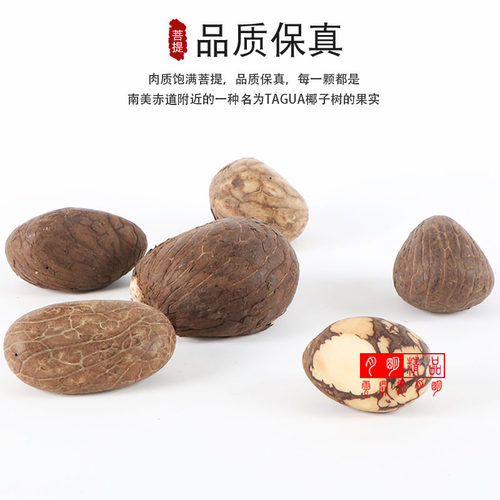 象牙果菩提原料原籽雕刻按个佛头三通DIY白玉菩提子佛心果佛珠 - 图2