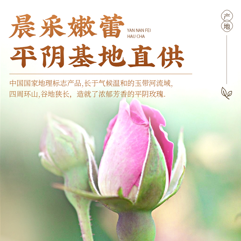 玫瑰花茶女人茶干玫瑰花蕾养生茶重瓣平阴玫瑰花瓣花冠泡水非特级