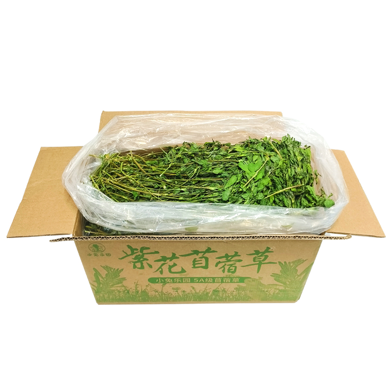 苜蓿草兔子粮草苜蓿草食用草兔粮龙猫粮食粮草干草荷兰猪苜宿草 - 图3