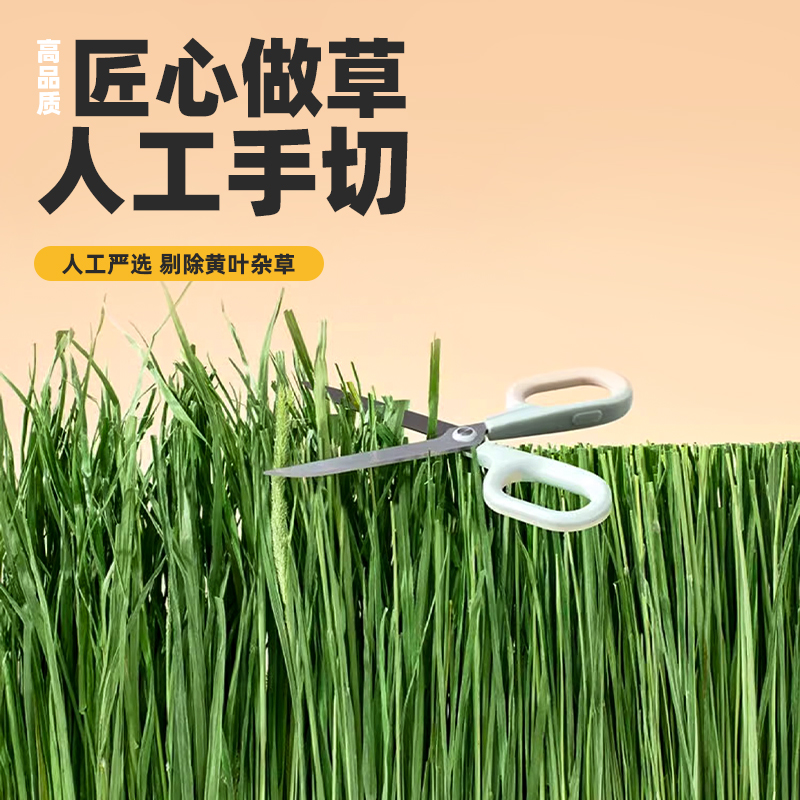 25年烘干提摩西草段北提草兔粮提草干草兔饲料兔子荷兰猪龙猫牧草 - 图2