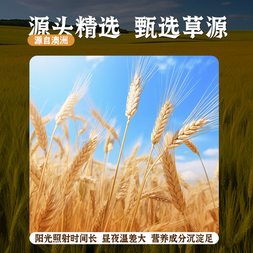 澳麦黄金燕麦草手挑版5A级一番进口兔子豚鼠龙猫干草500g绿澳麦 - 图1