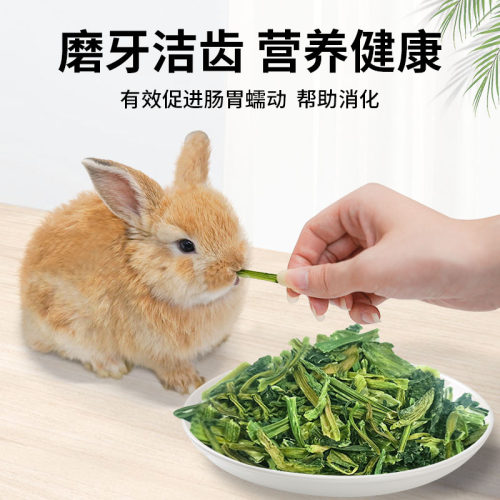 油菜干万年青梗菜兔子磨牙零食兔子龙猫拌粮 100克高纤维高蛋白 - 图3