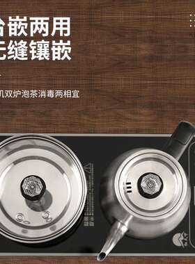 全自动手柄抽水316嵌入不锈钢