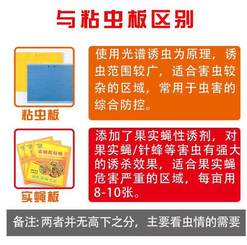 诱敌实蝇粘胶板果蝇诱粘板果园针蜂粘蝇贴瓜果柑橘实蝇食蝇果苍蝇 - 图0
