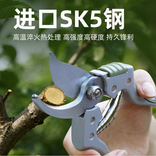 沃施worth园艺剪刀家居修枝剪果枝剪果树剪园林剪树枝修剪剪刀 - 图0