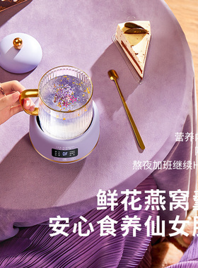 养生壶炖煮一体小型迷你养生杯