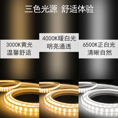 欧普LED灯带 新款贴片灯条灯管 高亮客厅吊顶柜台七彩色霓虹防水 - 图2