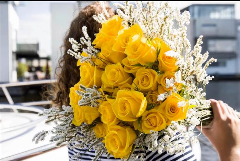 【沙海园艺】玫瑰花苗多季开花易活月季扦插小苗室内阳台盆栽,淘宝优惠券,粉丝福利购,淘宝优惠卷