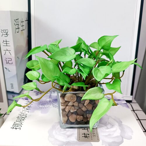 仿真花清新绿植盆栽 金钱叶 鱼缸塑料假草 铜钱草小荷叶 花艺套装 - 图2