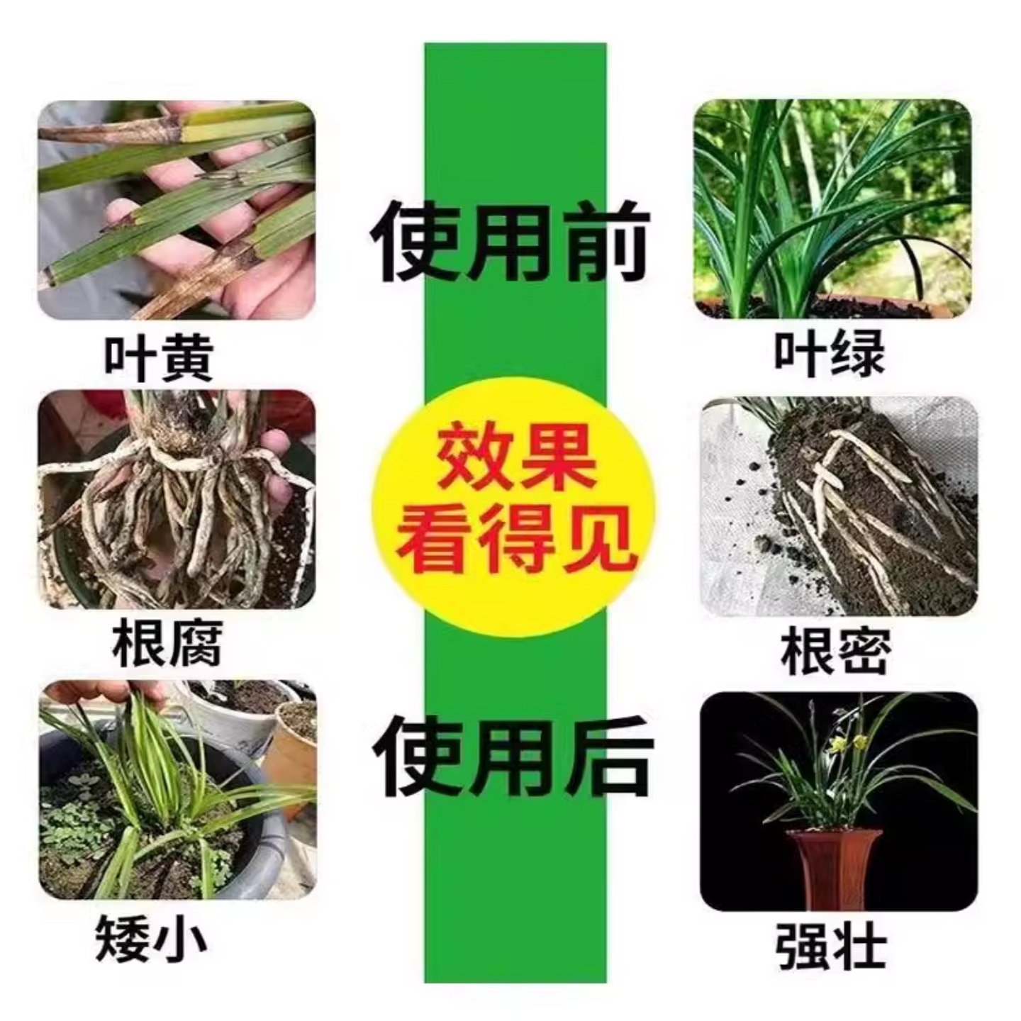 兰花专用杀菌药治黑斑病专用叶子发黄叶焦尖根腐杀菌叶康灵营养液,淘宝优惠券,粉丝福利购,淘宝优惠卷