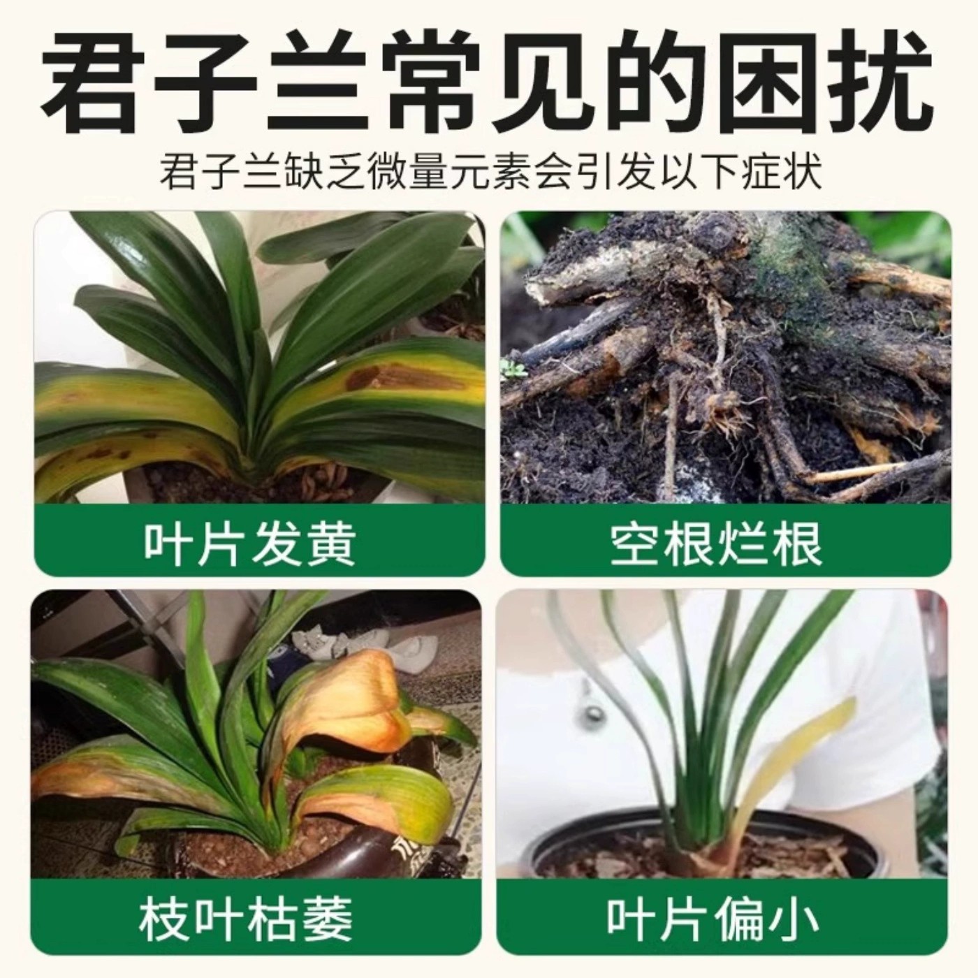 兰花专用杀菌药治黑斑病专用叶子发黄叶焦尖根腐杀菌叶康灵营养液,淘宝优惠券,粉丝福利购,淘宝优惠卷