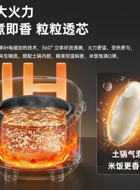 虎牌IH土锅电饭煲大容量5L商用