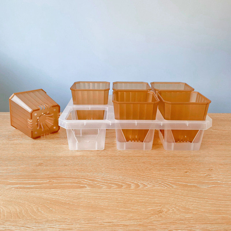 ll新品暮光盆 多肉彩色塑料花盆 透明半透阳台玉露景天生石花十二,淘宝优惠券,粉丝福利购,淘宝优惠卷