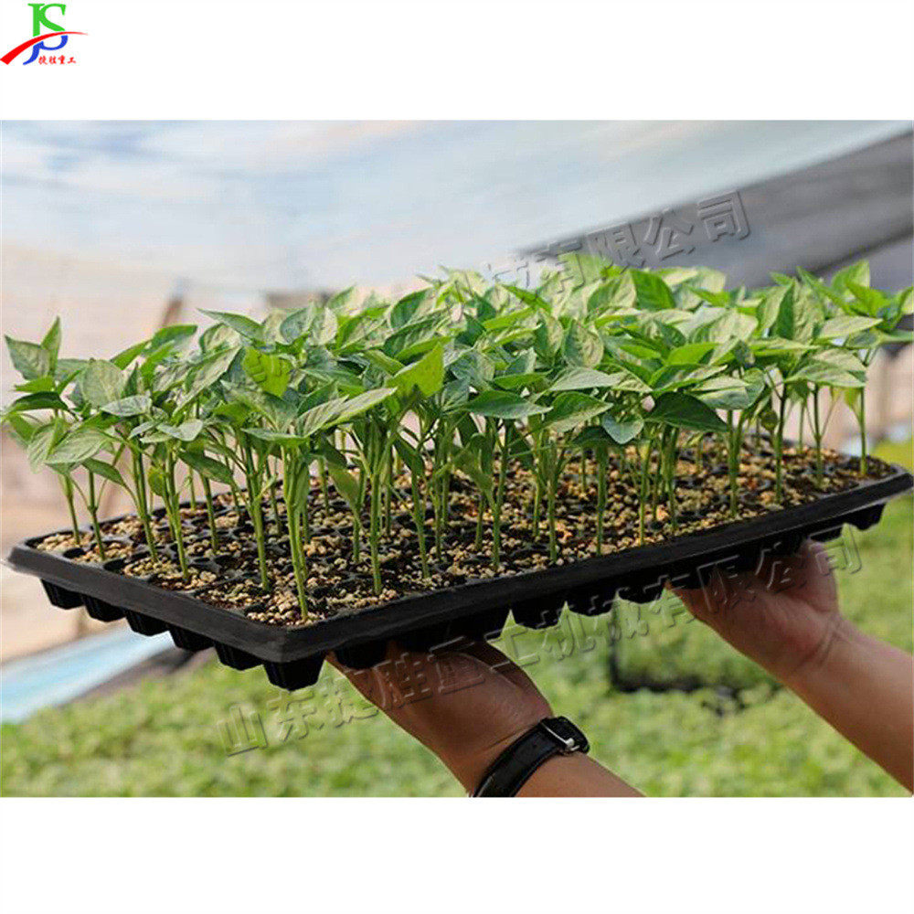 热销辣椒穴盘育苗穴吸式花卉用机针盘播种机铺土压穴育苗一体机,淘宝优惠券,粉丝福利购,淘宝优惠卷