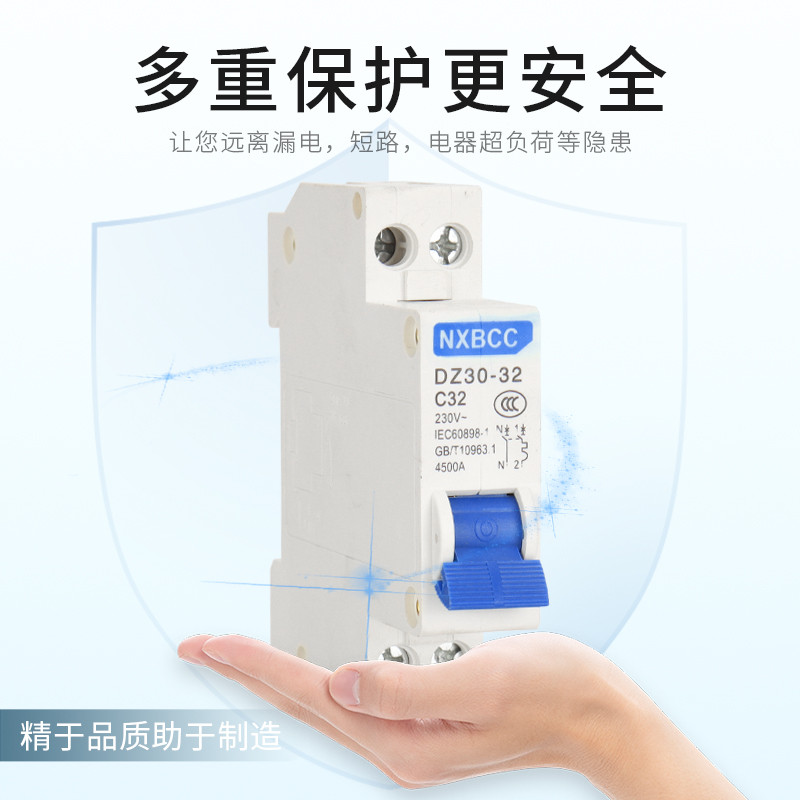 DZ30-32A空开双线空气开关断路器DPN16A空开单片1P+N 10A双进双出 - 图0