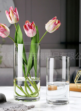 玻璃创意花瓶轻奢透明高级感家用水培花瓶ins风摆件富贵竹客厅