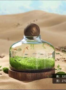 创意工艺品乡村带木球玻璃储物收纳罐花瓶摆设玻璃美式现货混批