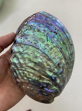 黑金鲍鱼壳加工 鲍鱼壳抛光打磨加工 黑金鲍壳加工 鲍鱼壳代加工