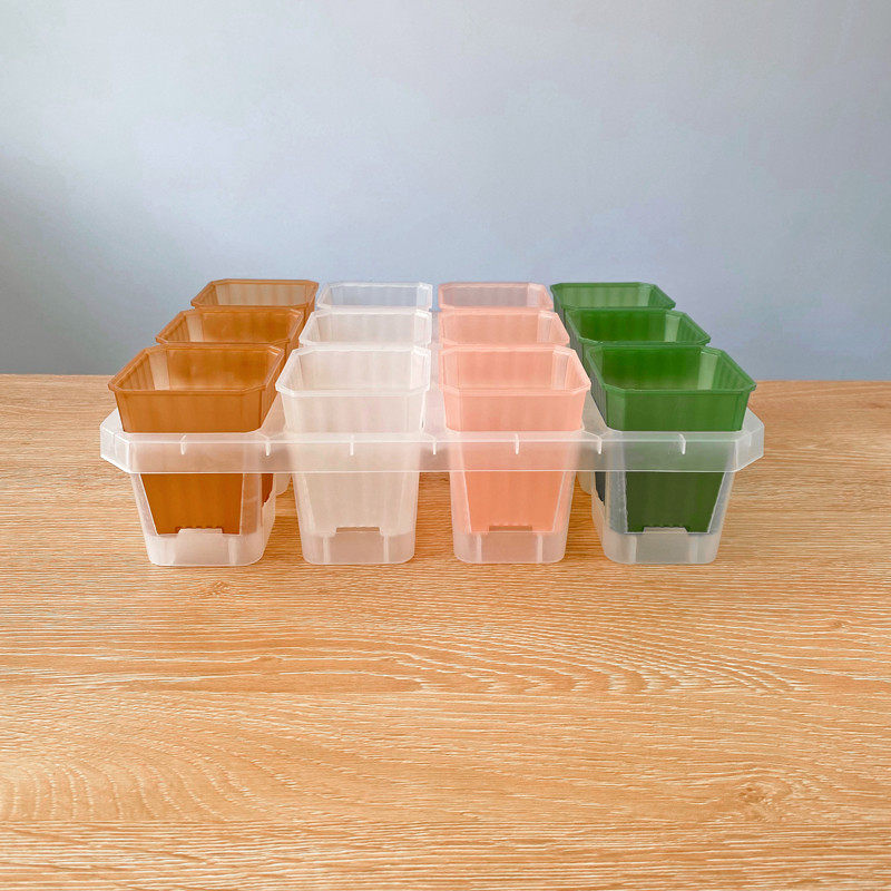 ll新品暮光盆 多肉彩色塑料花盆 透明半透阳台玉露景天生石花十二,淘宝优惠券,粉丝福利购,淘宝优惠卷