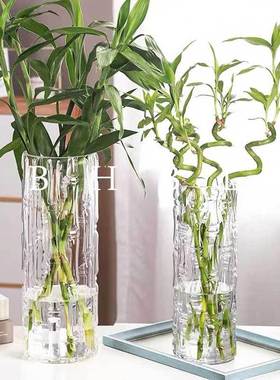 大号圆柱摆富贵竹花瓶直筒玻璃透明水养水培直筒家用客厅插花落地