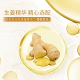 蜂花 Освежающий обезжиривающий шампунь без силикона, увлажняющий кондиционер, гель алоэ вера, комплект