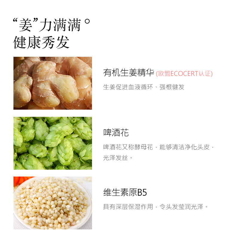 蜂花无硅油生姜男女士滑健发润发乳 蜂花居家日用护发素