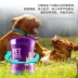 Chó lecithin teddy lông vàng nổ bột sáng lông chó con làm đẹp bột lông mèo cưng với phospholipid mềm - Cat / Dog Health bổ sung sữa cho mèo bầu Cat / Dog Health bổ sung