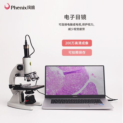凤凰光学生物显微镜XSP-06专业高倍学生实验学习家用放大1600倍 - 图1