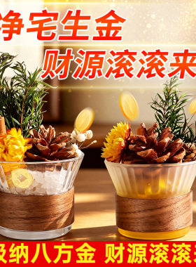 净宅生财乔迁入户玄关装饰摆件