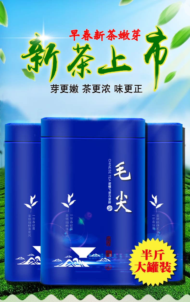 悠谷良品旗舰店新茶 绿茶毛尖茶叶信阳春茶毛尖茶叶明前嫩芽散装浓香型250g2
