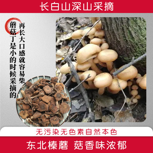 2025新干货榛蘑丁去根蘑菇东北特产榛蘑丁小鸡炖蘑菇食材家用商用 - 图1