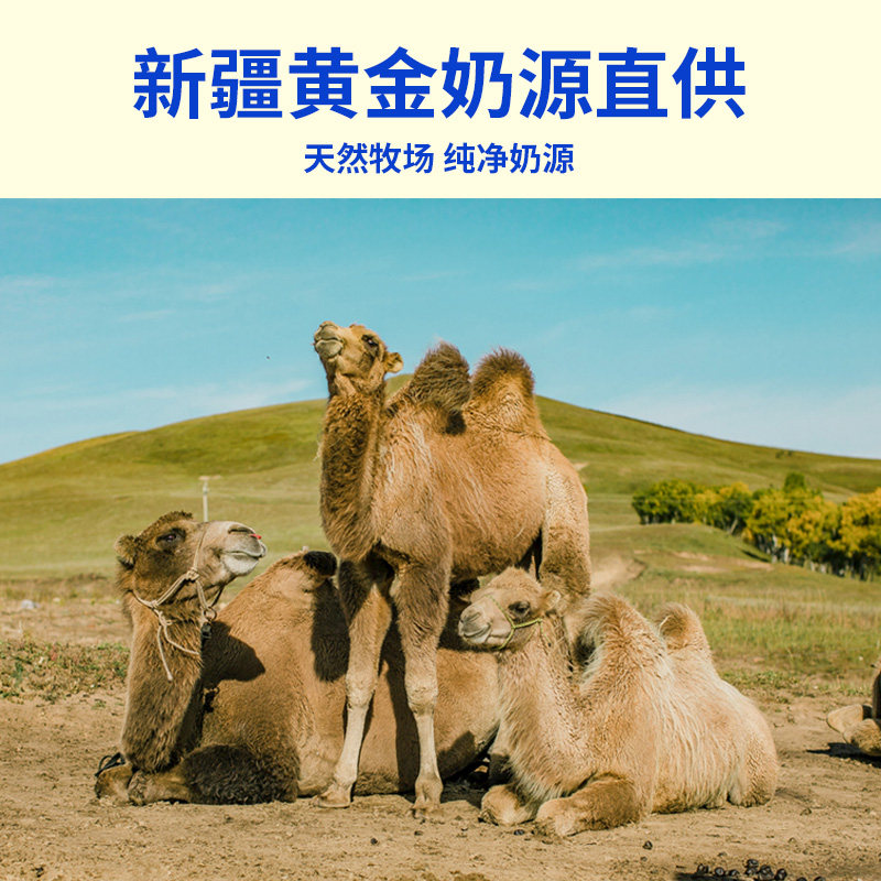 正宗新疆驼奶官方旗舰店官网钙片 猫小乐钙铁锌/钙镁