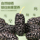 Dried fresh mulberries 500g soaked in water and drank, refundable if not satisfied