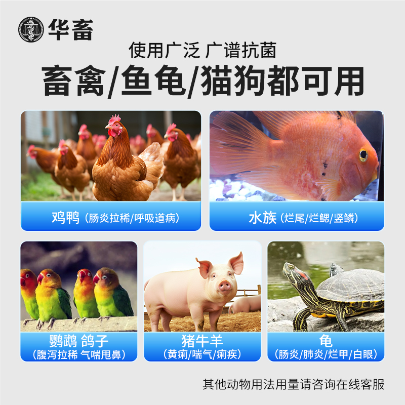 华畜兽药土霉素片粉兽用鸡鸭狗狗用宠物乌龟水族鱼药片养鸡专用药 - 图0