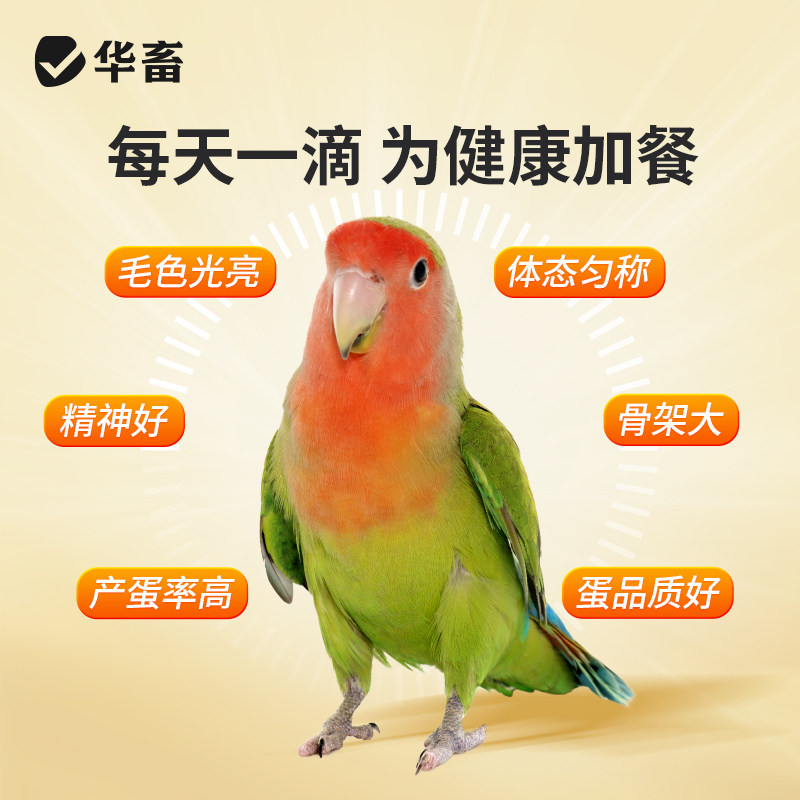 华畜鹦鹉鱼肝油补充维生素他命保健营养调理玄凤虎皮牡丹鸟用鱼油,淘宝优惠券,粉丝福利购,淘宝优惠卷