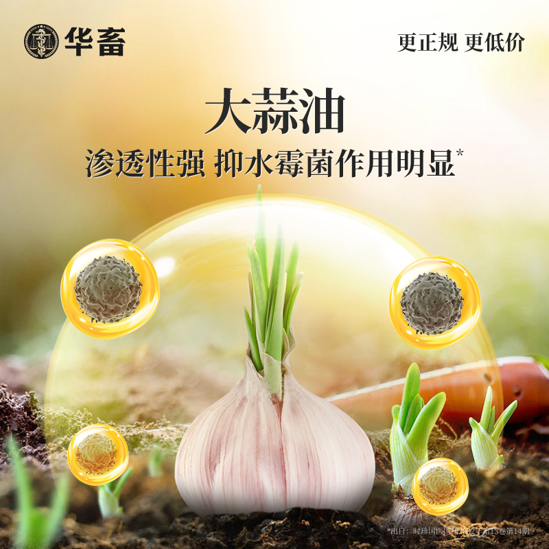 华畜硫醚沙星水产养殖水霉病专治鱼药鱼塘消毒杀菌烂身烂尾水霉净 - 图1