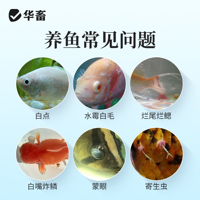华畜亚甲基蓝烂身烂尾水族鱼专用水霉白毛白点净腐皮鱼缸消毒杀菌,淘宝优惠券,粉丝福利购,淘宝优惠卷
