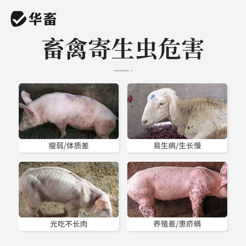 华畜阿苯达唑伊维菌素粉猪牛羊体内外打虫药鸡驱虫药兽用兽药孕畜 - 图1