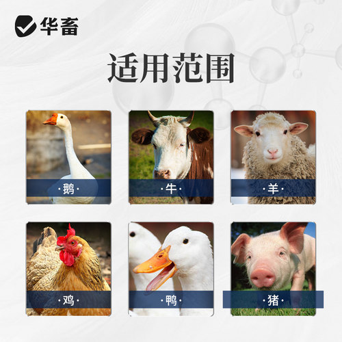 华畜顺呼4斤宣肺化痰兽用开胃增食 鸡鸭鹅兔牛羊猪预混料呼吸道 - 图2