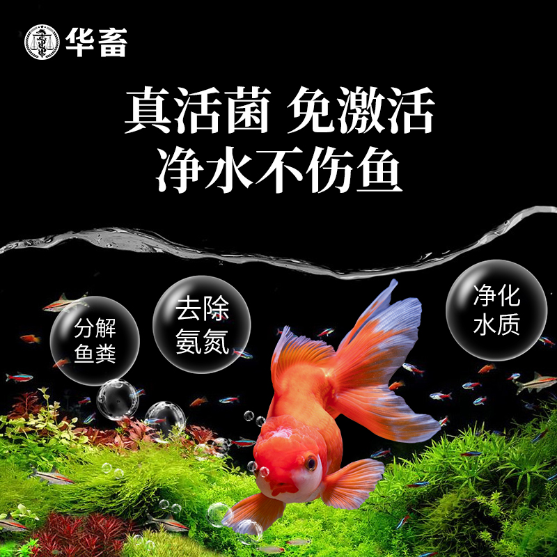 华畜硝化细菌鱼缸用净水剂养鱼净化水质稳定剂分解鱼粪消化活菌液 - 图1