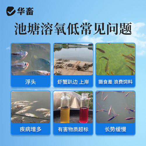 华畜增氧颗粒水产养殖粒粒氧制氧增氧片钓鱼鱼塘过碳酸钠鱼池缺氧 - 图1