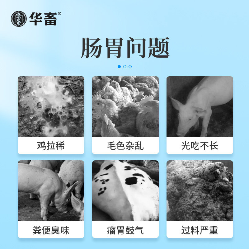 华畜益生菌兽用加酶益生素猪牛羊禽鸡调理肠胃养殖用增重畜用催肥_虎窝淘